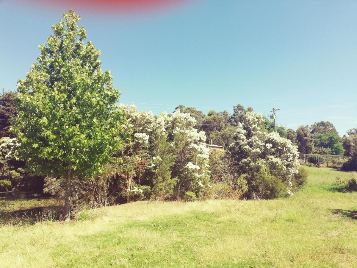 Woodlands Of Balingup Bush Cottages Exteriér fotografie